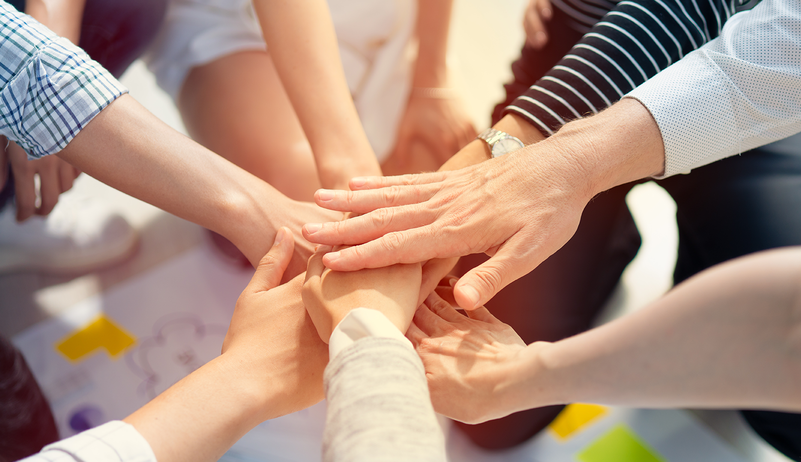 同盟共创 价值共生